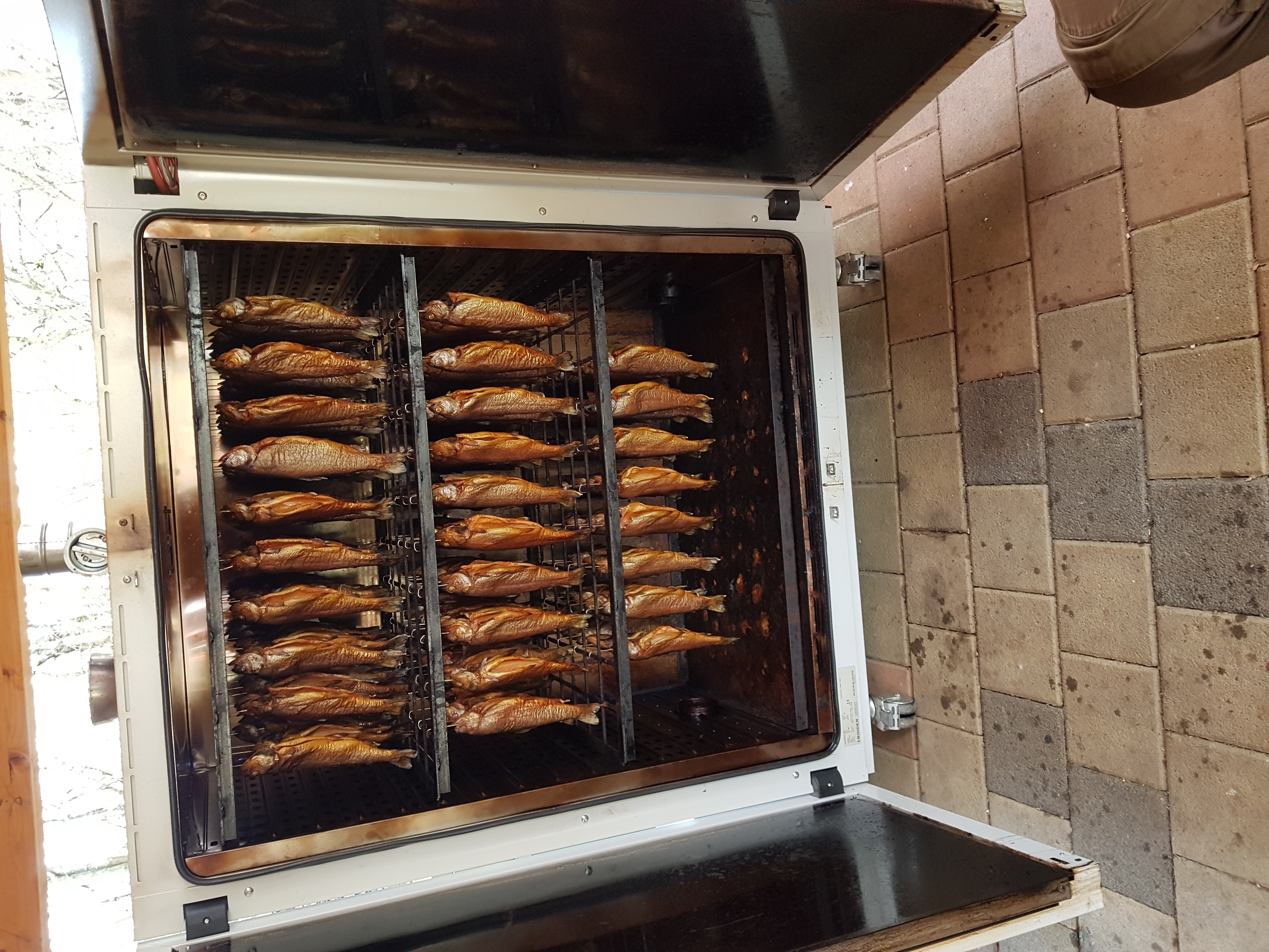 Galeriebild: 20230405 154321